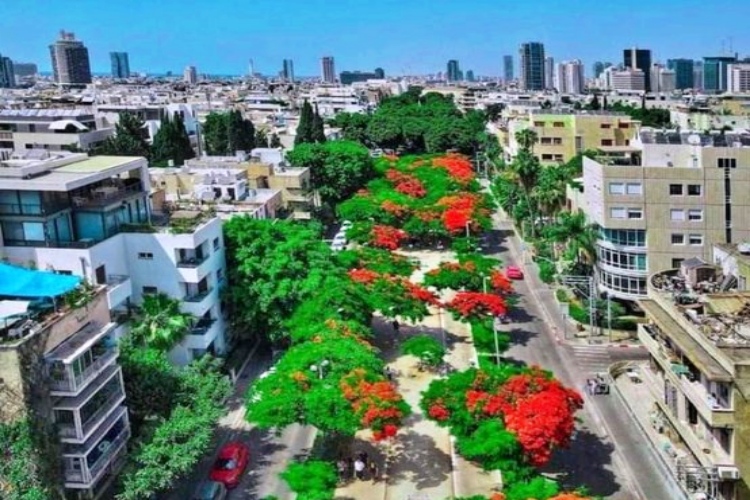 Tel Aviv