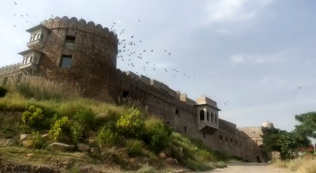 Vicky Katrina Kaif Wedding In Sawai Madhopur