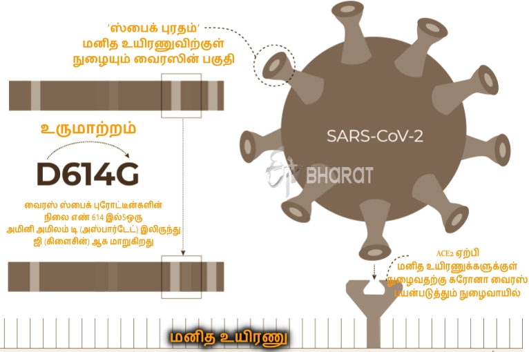 omicron india, omicron virus, omicron cases in india, omicron symptoms, omicron meaning, omicron variant, omicron virus symptoms, omicron virus india, omicron variant in india, omicron variant in india news, ஓமிக்ரோன், ஓமிக்ரோன் வைரஸ், ஓமிக்ரோன் என்றால் என்ன, ஓமிக்ரோன் வகை கரோனா வைரஸ், கொரோனா வைரஸ் புதிய வகை, கரோனா வைரஸ் புதிய வகை, omicron variant explained, how corona variants named, what are corona virus mutations, how to protect myself from covid 19, உருமாற்றம் என்றால் என்ன, வைரஸ் வகைகளுக்கு பெயர் வந்தது எப்படி, ஓமிக்ரோன் மற்ற வகைகளுடன் எவ்வாறு வேறுடுகிறது, வைரஸ் தொற்றிலிருந்து பாதுகாத்துக்கொள்வது எப்படி, how to protect from omicron, ஒமைக்ரான்