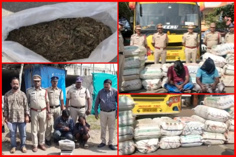 Ganja seized in east godavari