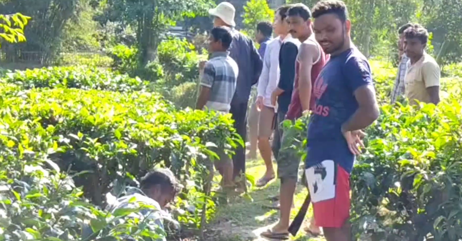 leopard scaring people by roaming at mariani