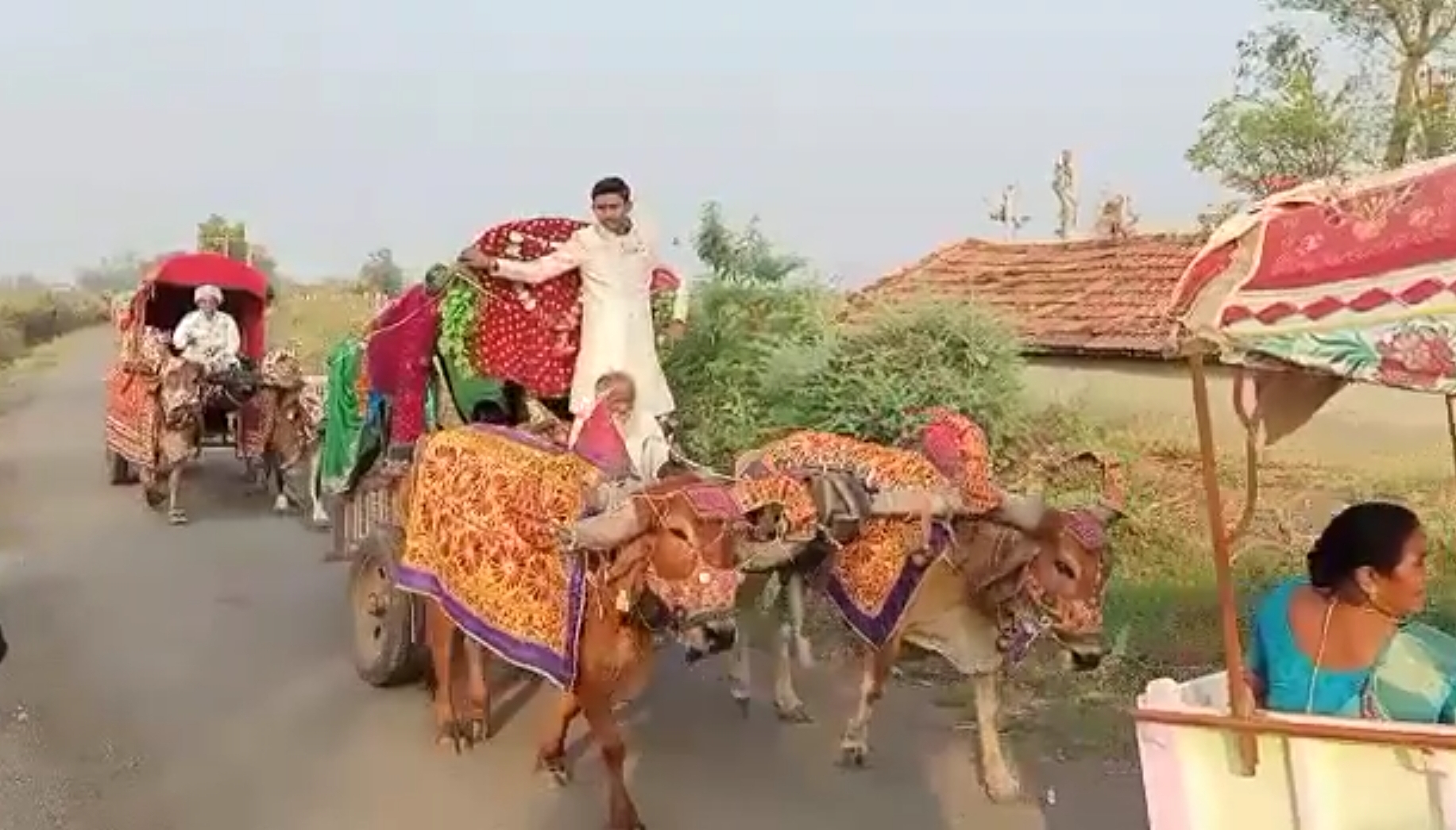 Groom Hanil from Amreli Gujarat wedding  Groom arrived at his wedding in a bullock cart surat  അംറേലി വിവാഹത്തിന് വരൻ എത്തിയത് കാളവണ്ടിയിൽ  ഗുജറാത്ത് ഹാനിൽ