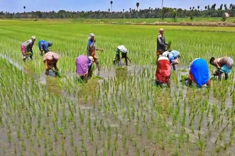 விலை உயர்வுக்கு முக்கியக் காரணம்