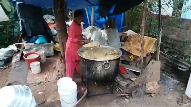 a women  feeding 2 tonnes of food to 800 street dogs