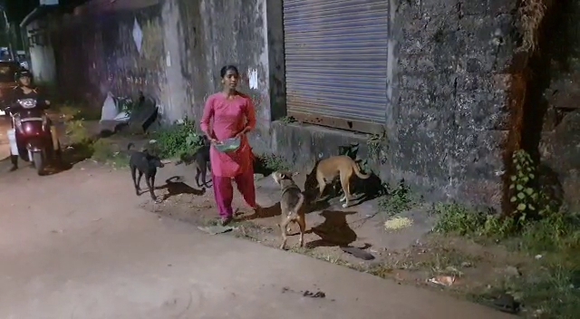 a women  feeding 2 tonnes of food to 800 street dogs