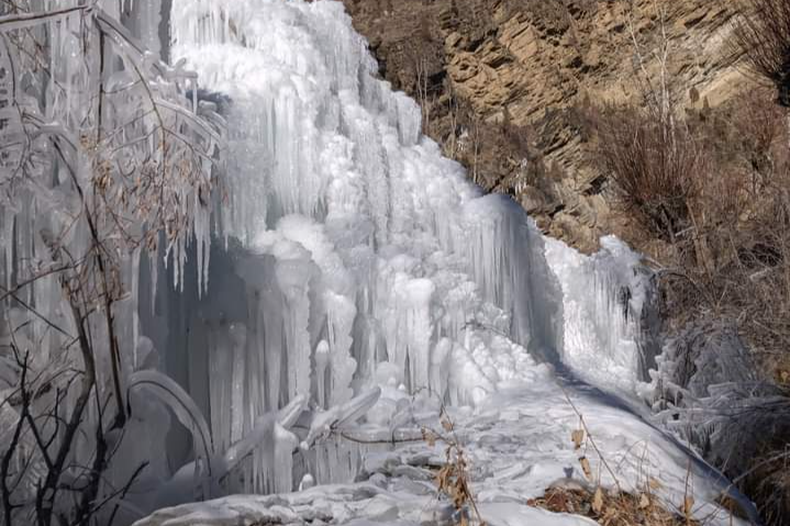 Snowfall in Himachal Pradesh