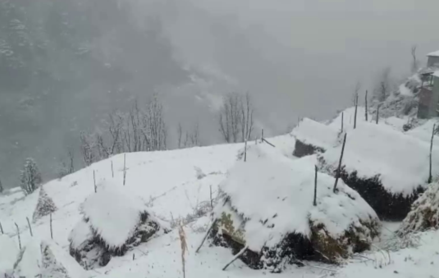 Snowfall in Himachal Pradesh