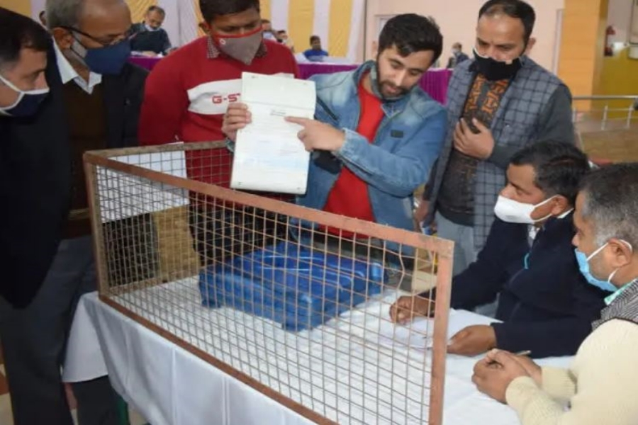 Municipal elections held in Himachal