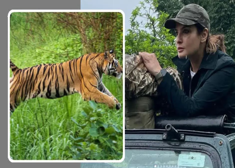 Raveena Tandon at Satpura Tiger Reserve