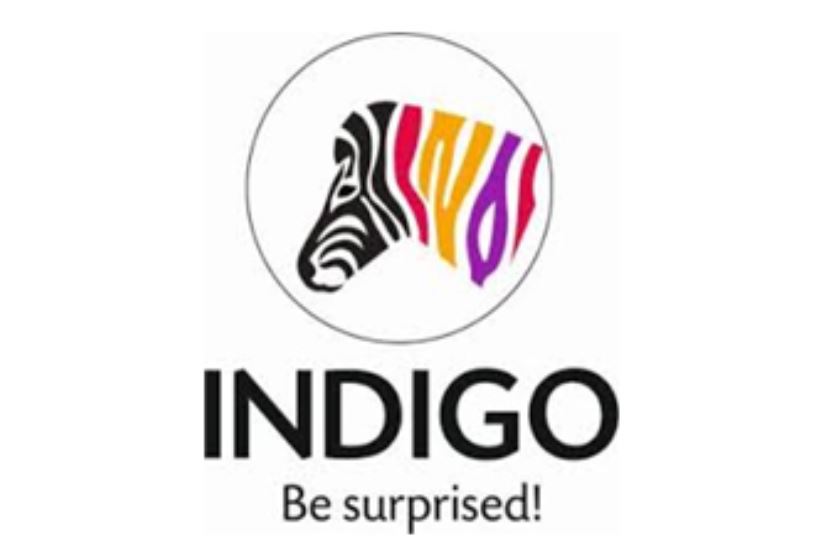 ਇੰਡੀਗੋ ਪੇਂਟਸ (Indigo Paints)