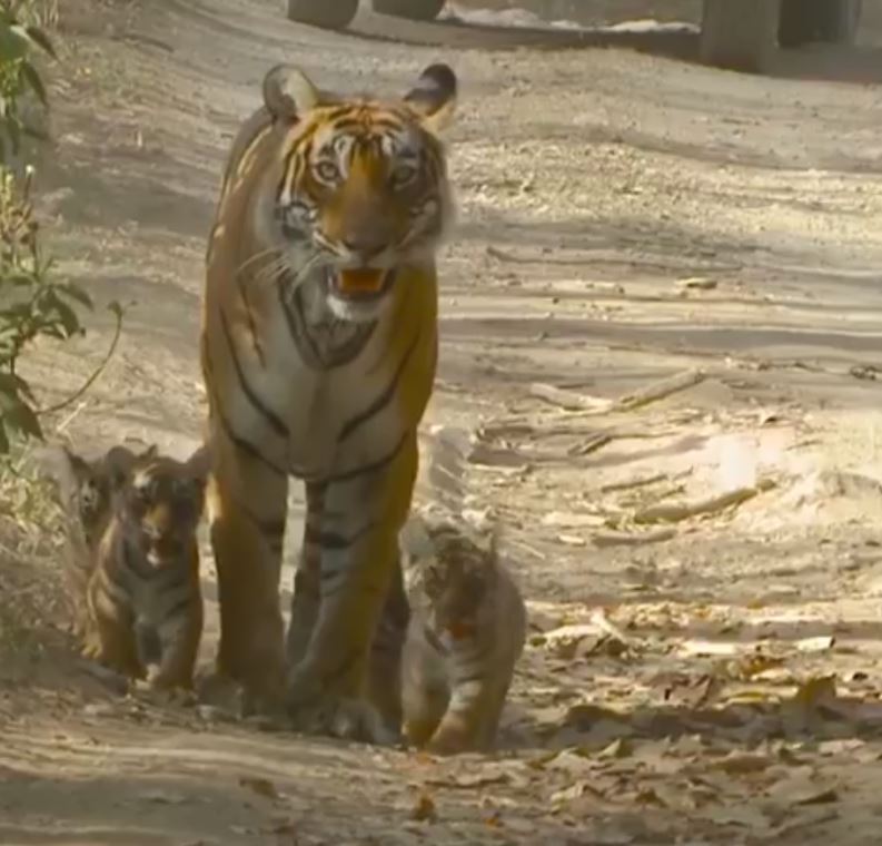 Nauradehi Wildlife Sanctuary