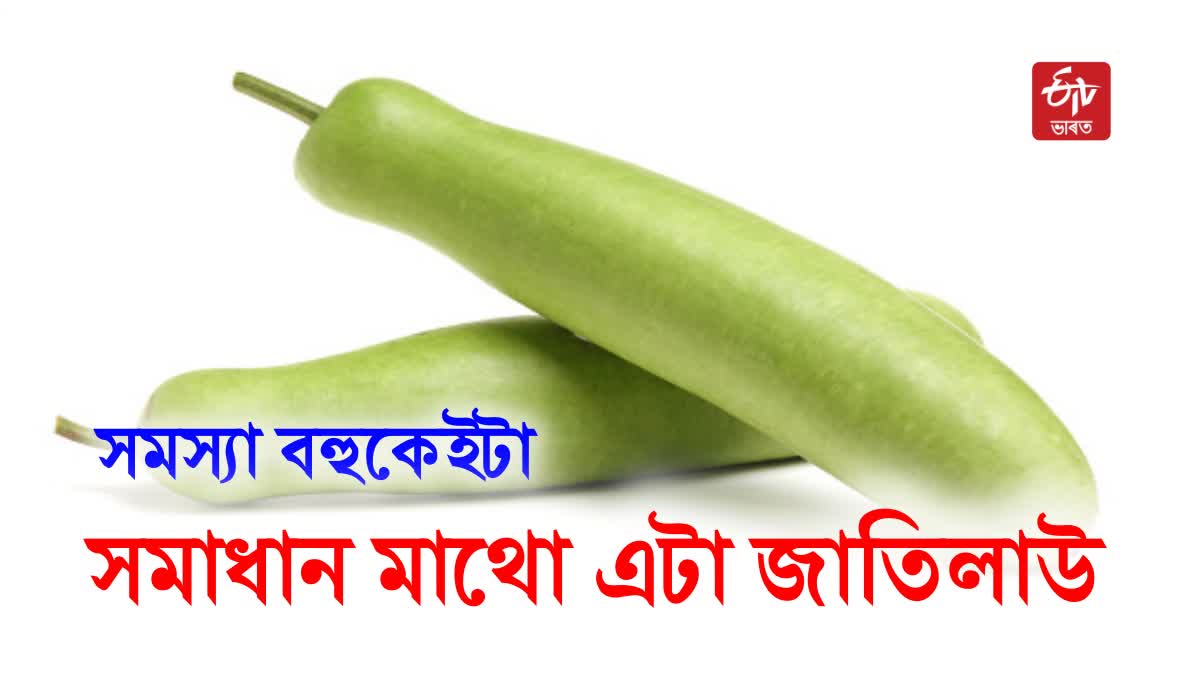 Health Benefits of Bottle Gourd or Jati Lao