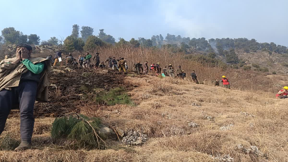 dry-weather-triggers-forest-fire-in-kashmir