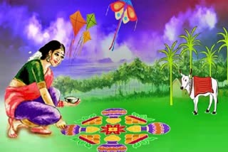 Sankranti Celebrations in Telangana 2024