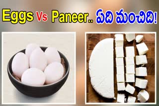 Eggs vs Paneer