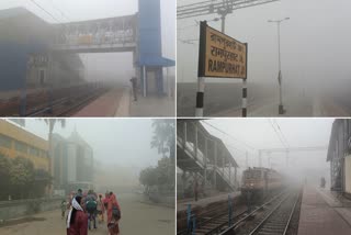 intense fog in Birbhum