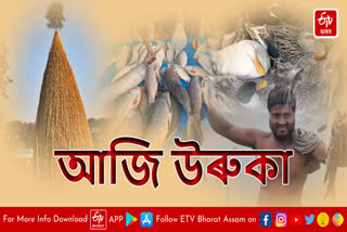 Bhogali Bihu Uruka Celebration