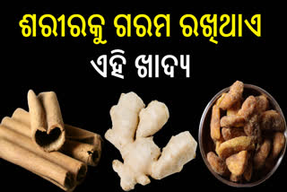 ଶୀତଦିନେ ସୁରକ୍ଷିତ ରହିବାକୁ ଚାହାଁନ୍ତି, ଖାଆନ୍ତୁ ଏହି ଖାଦ୍ୟ