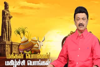 tamilnadu-chief-minister-mk-stalin-pongal-wishes-video