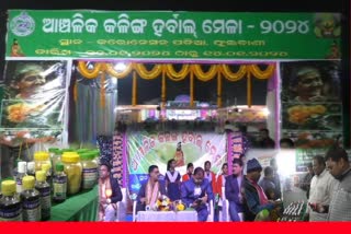 ଶେଷ ଦିନରେ କଳିଙ୍ଗ ହର୍ବାଲ୍ ମେଳା