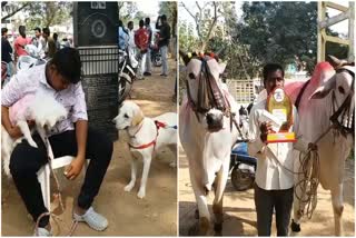 Beauty Contest for Animals in Narsampet