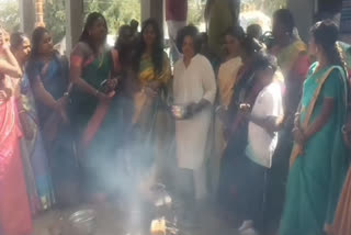 pongal celebrated