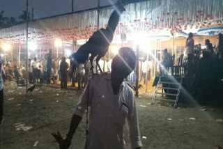 Cockfights under floodlights  in Andhra Pradesh