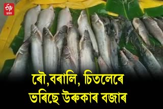 Bhogali Bihu fish Market in  Baksa