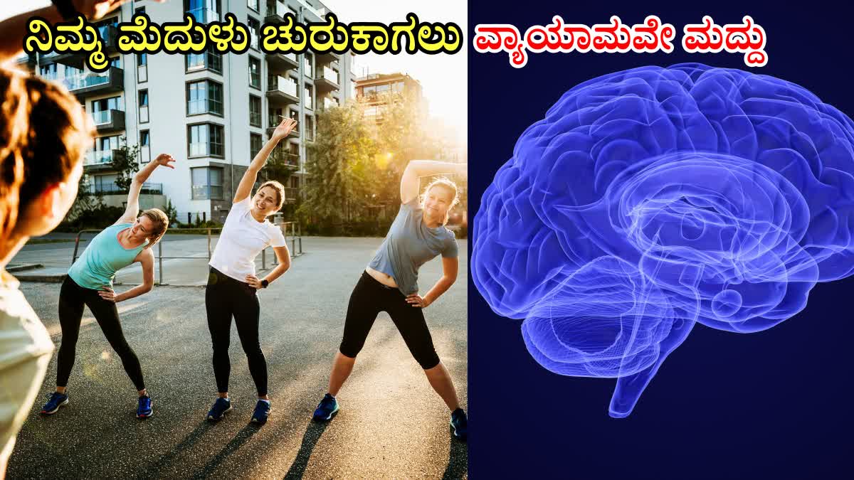 EXERCISE IMPROVES BRAIN FUNCTION  DOES EXERCISE IMPROVE MEMORY  DOES EXERCISE INCREASE MEMORY POWER  DOES EXERCISE INCREASE BRAIN POWER