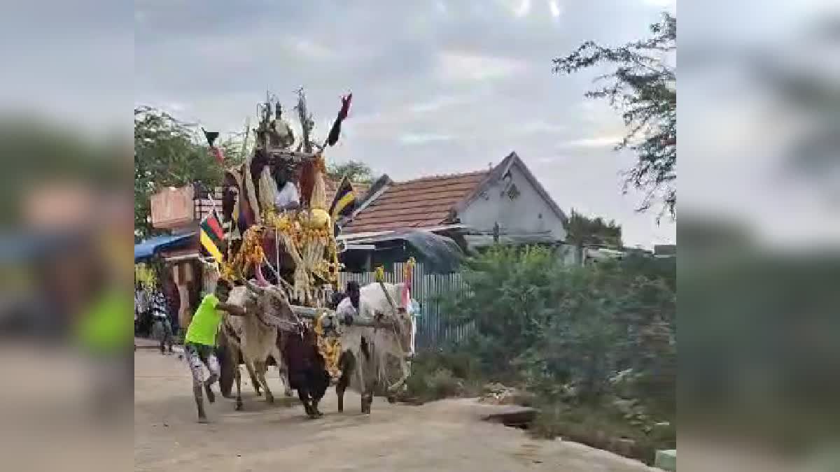 bullock-cart