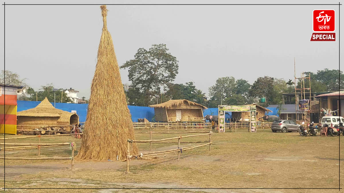 Nagaon Bhogali festival