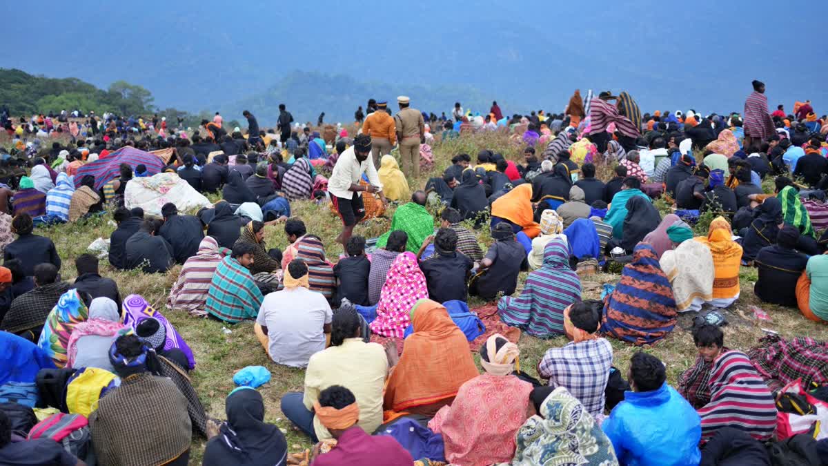 MAKARAVILAKKU MAHOLSAVAM  SABARIMALA  മകരജ്യോതി ദര്‍ശനം  ശബരിമല മകരവിളക്ക്