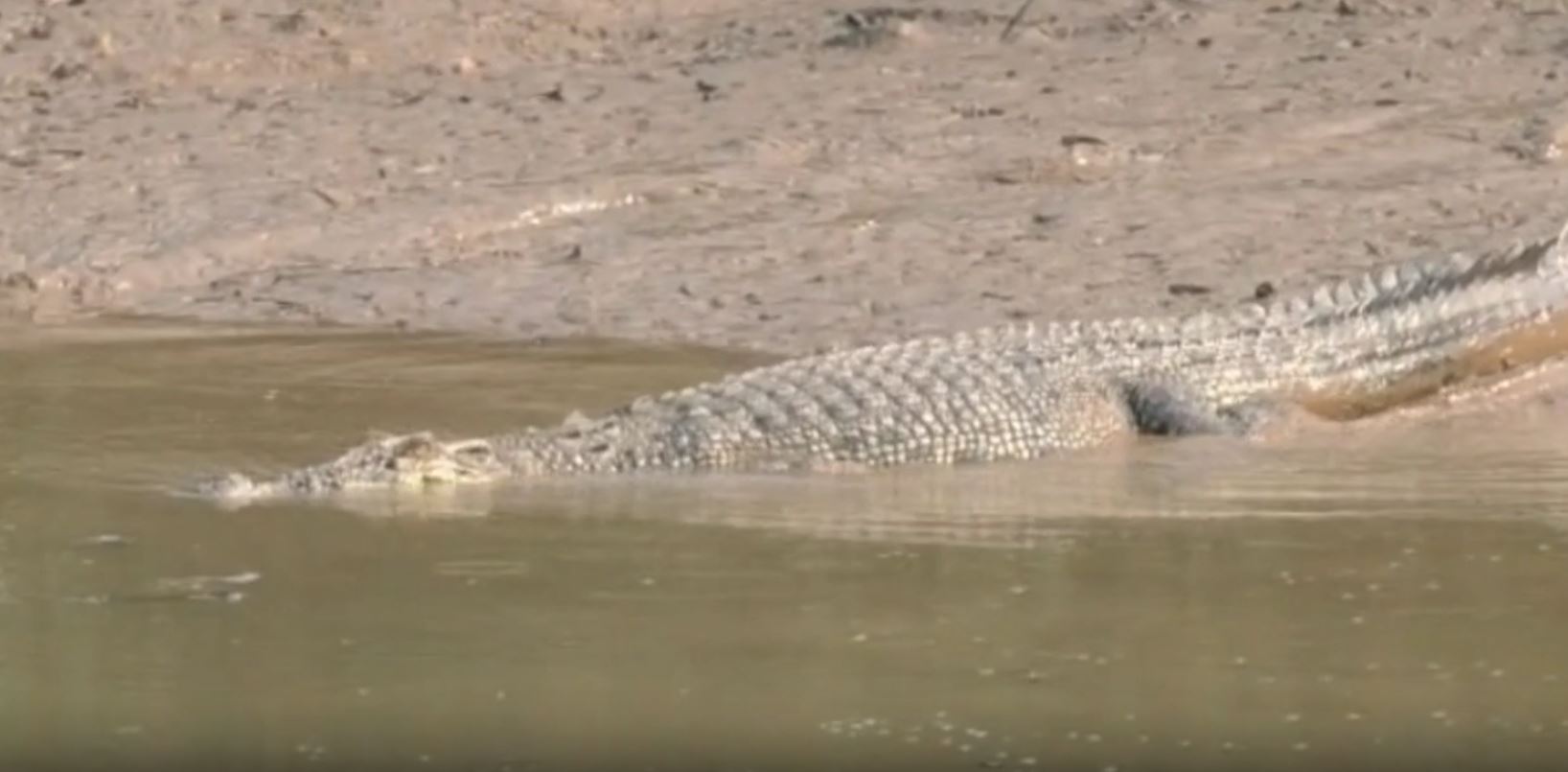 Bhitarkanika National Park