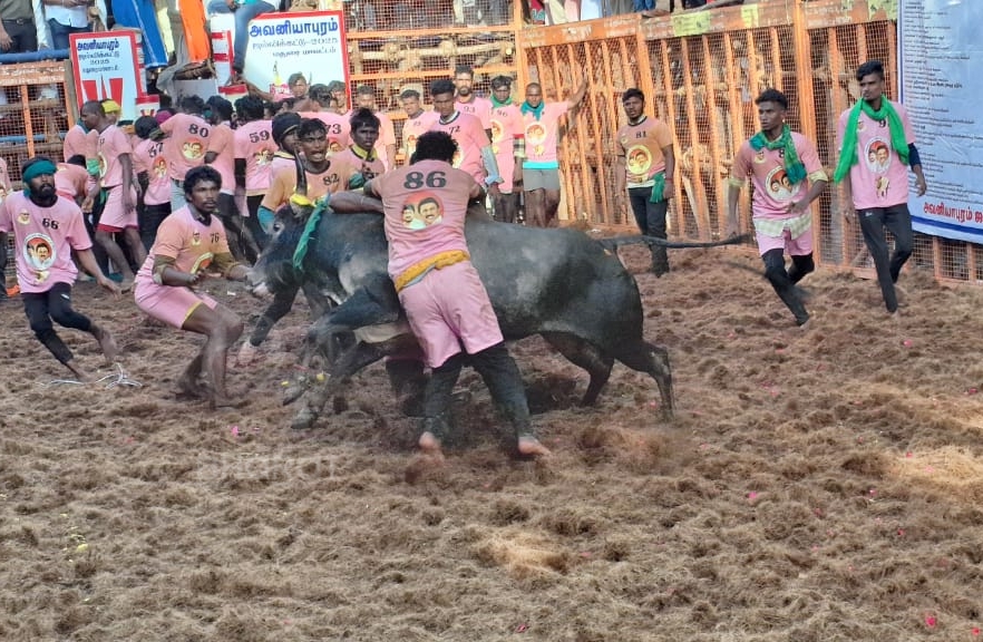 இரண்டாவது சுற்றில் காளையை அடக்க முற்படும் வீரர்