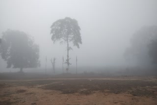 COLD WAVE AND FOG IN SHAHDOL