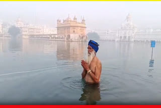 Devotees arrive at Sri Darbar Sahib to pay obeisance on the occasion of Maghi