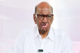 Sharad Pawar confirmed no discussions within the INDIA bloc about state or local elections, focusing on national elections.