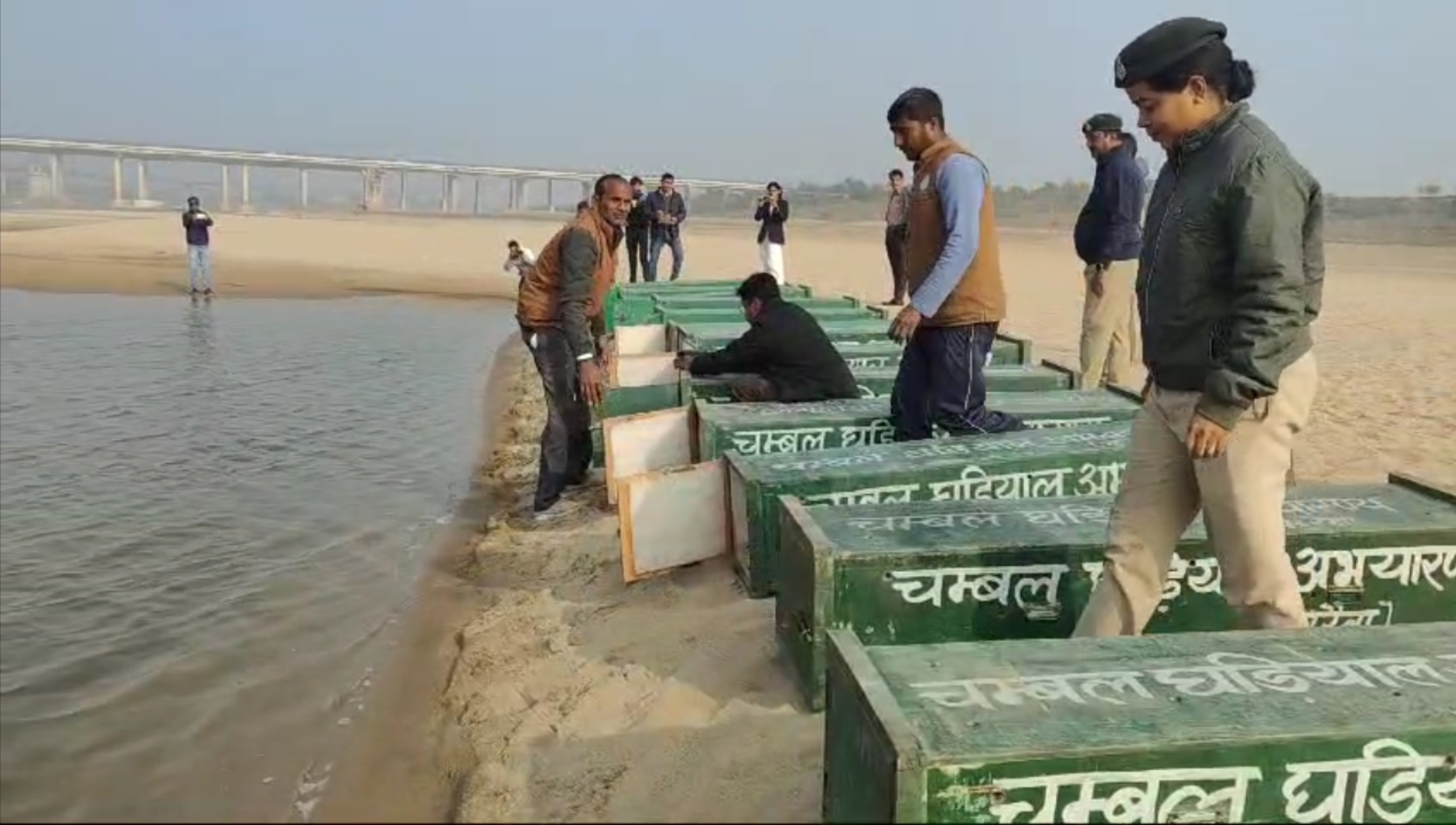 Chambal Gharial Sanctuary