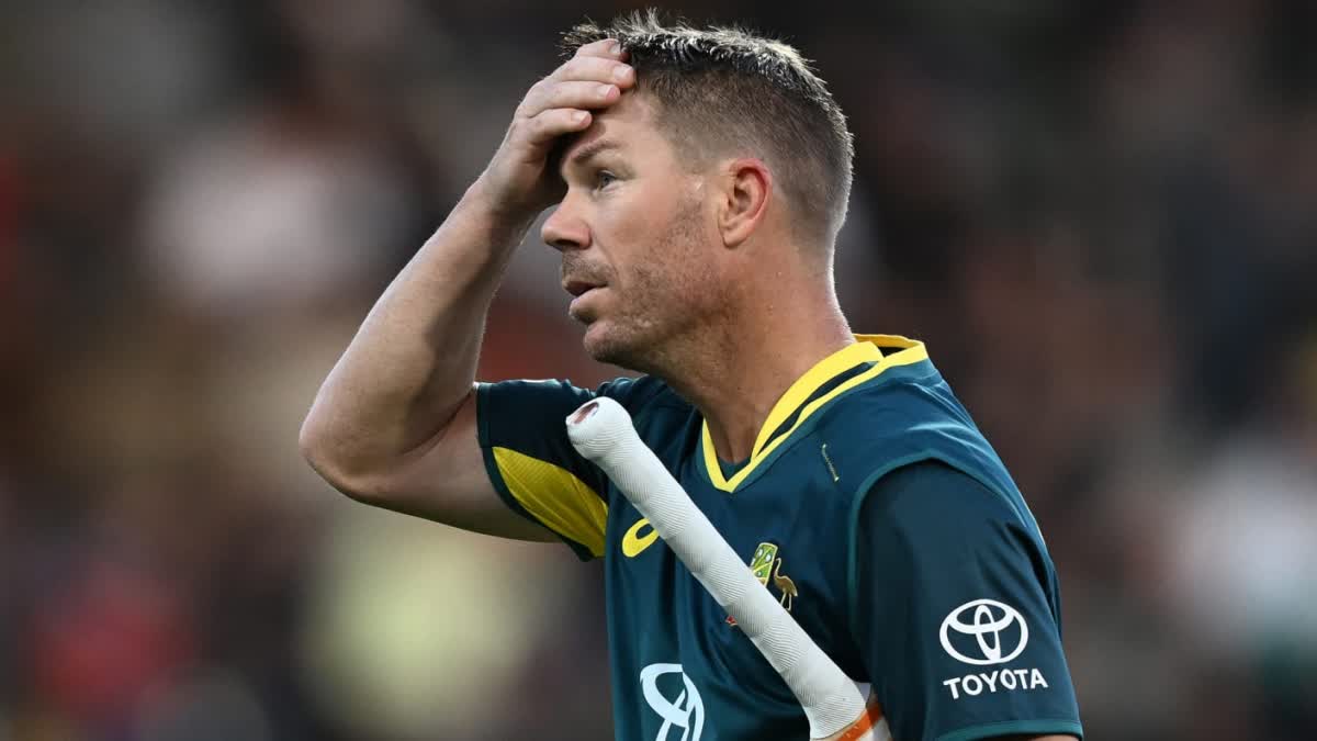 David Warner T20 Retirement