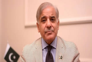 PML-N president Shehbaz Sharif has been nominated for the slot of prime minister of Pakistan by his party on Tuesday night.