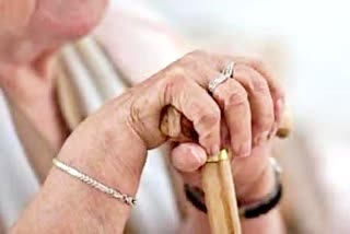 healthy aging  healthy old age  geriatric nutrition  elderly nutrition