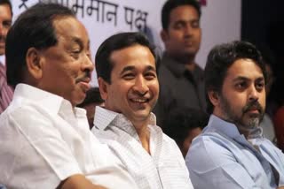 Narayan Rane