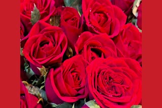 Flower Market Buzzes On Valentine Day