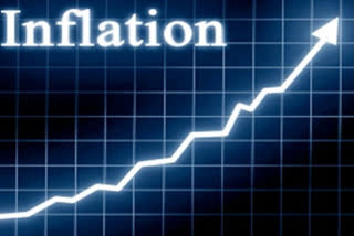 WPI inflation eases to 0.27% in Jan as food prices moderate
