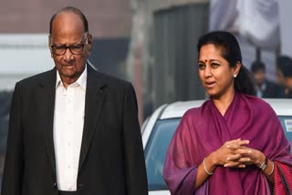 Sharad Pawar will hold assembly wise meetings