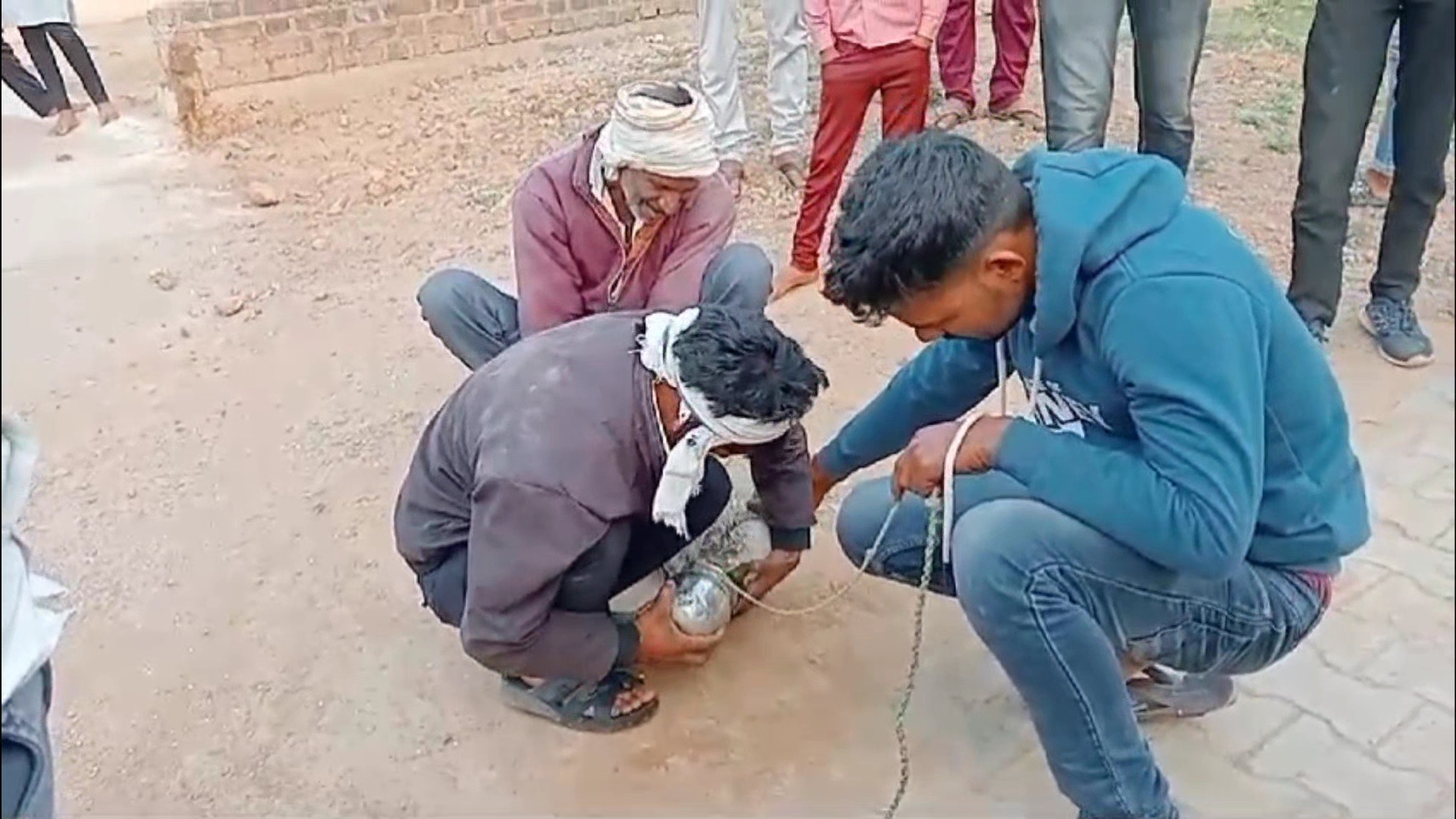 Cat mouth stuck in pot in Jhansi Rescue Operation to save