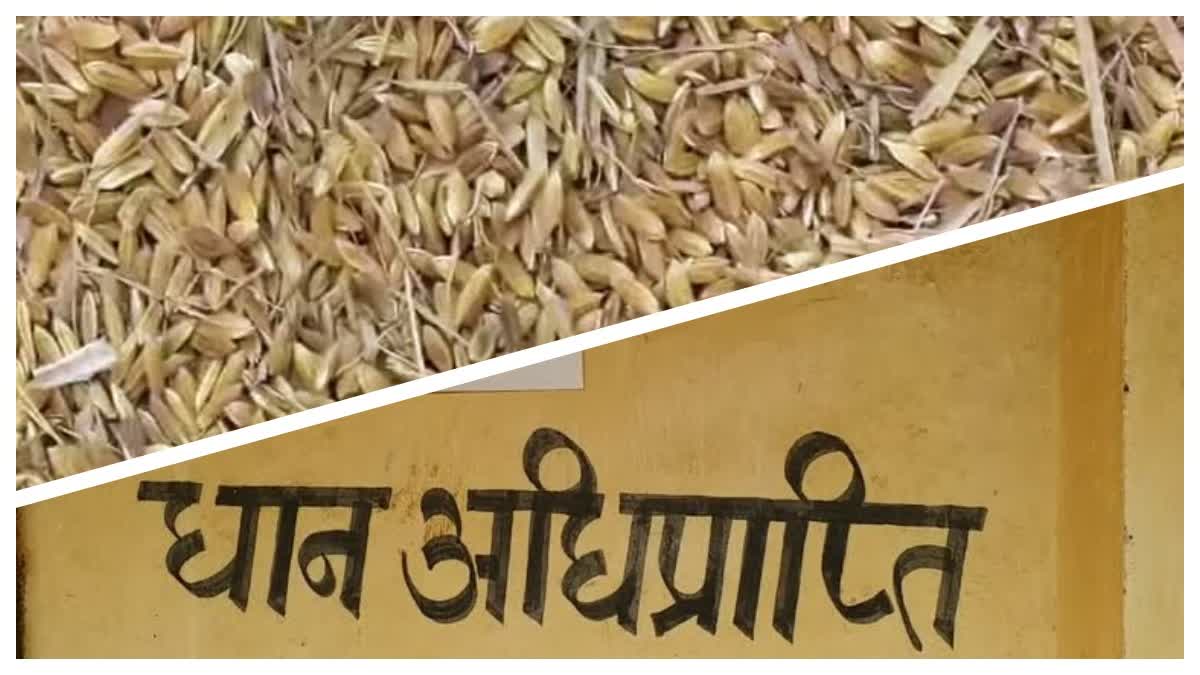 Paddy Procurement In Jharkhand