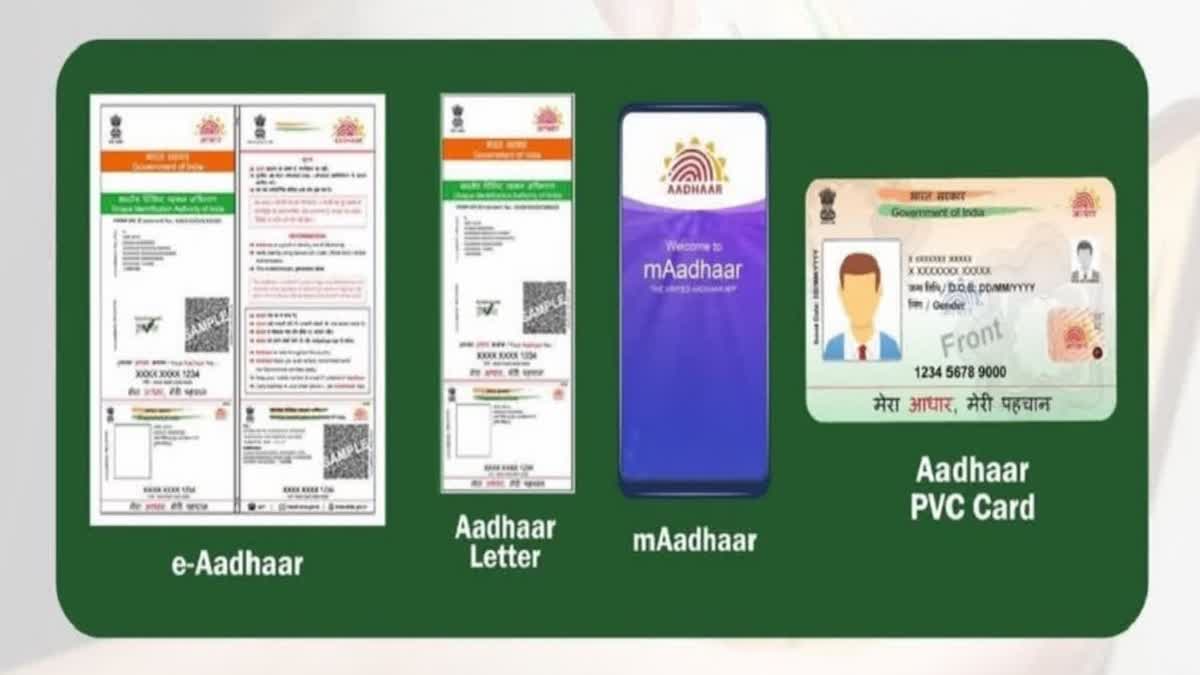 Aadhaar Update Rush: Srinagar Seva Kendra Sees 300-400 Daily Applications As Deadline Looms