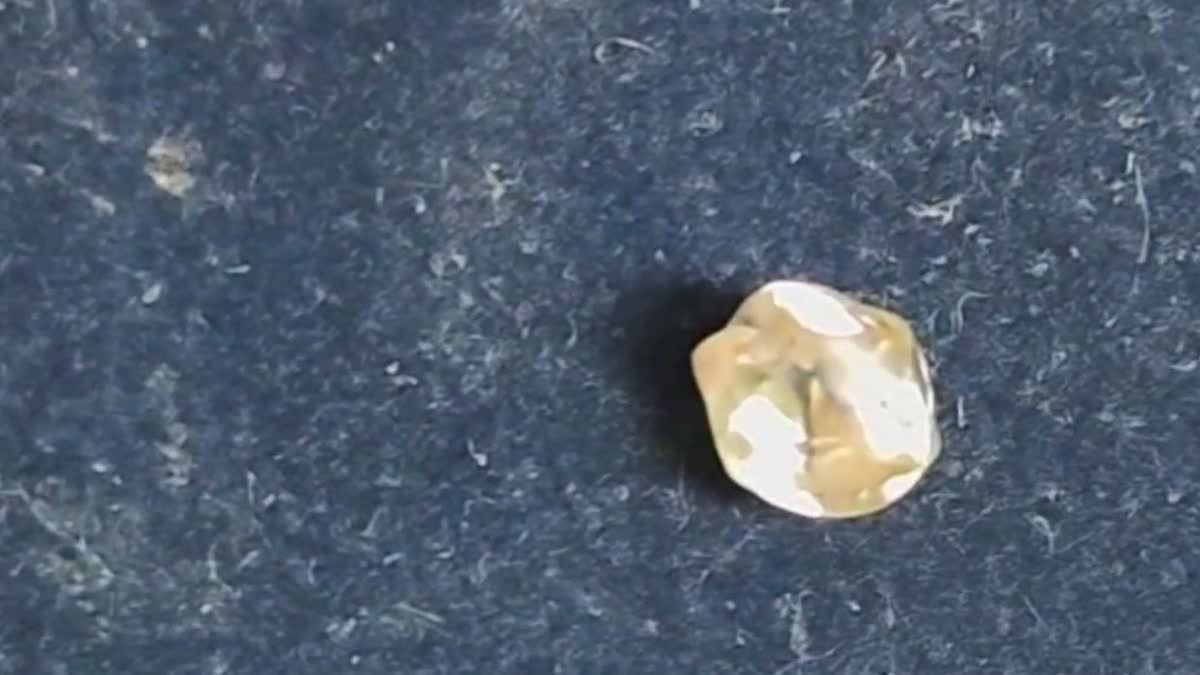 panna Farmer found diamond