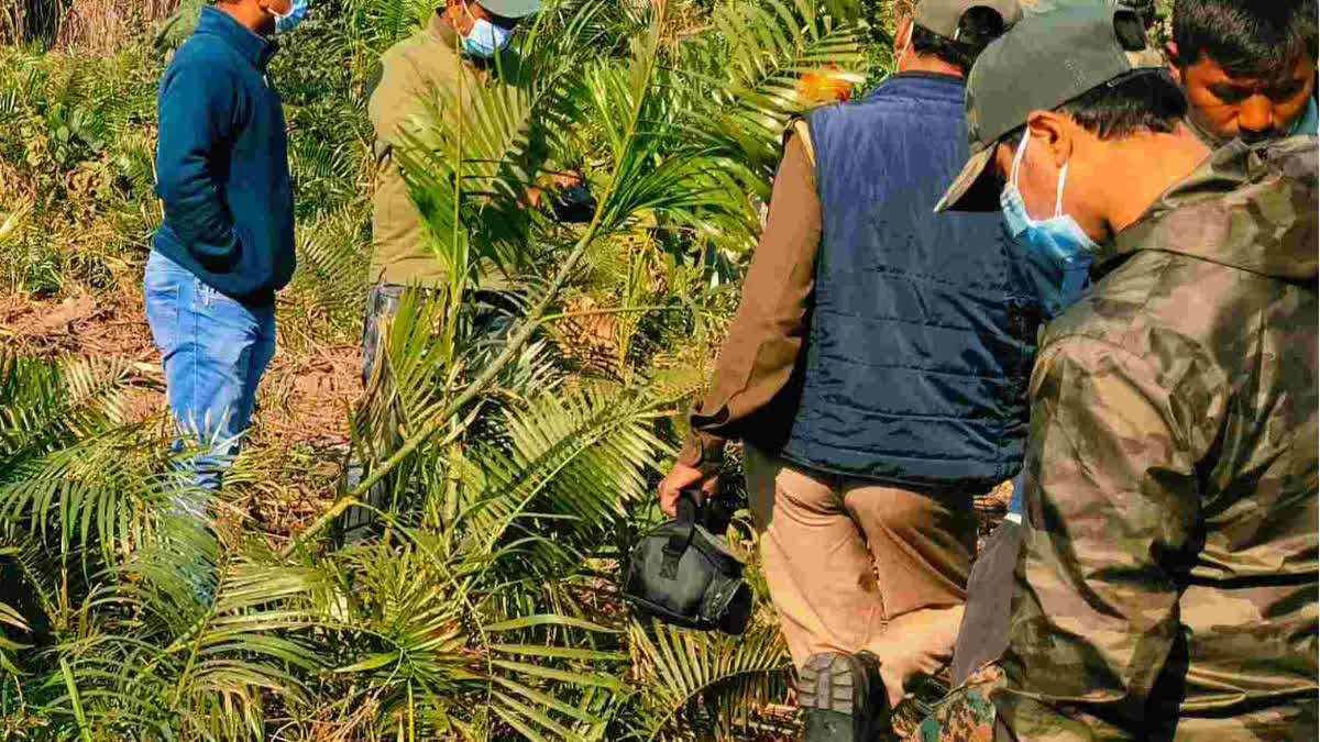 बेंत के घने झाड़ियों में हाथी का शव मिलने से हड़कंप मच गया.